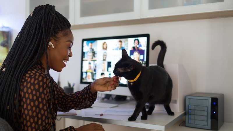 年轻女性在家和她的宠物猫进行视频通话