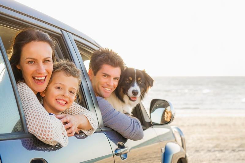 一家人和狗在沙滩上的车里